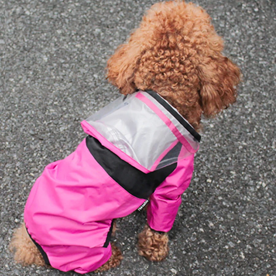 The Dog Face Raincoat for Dogs –