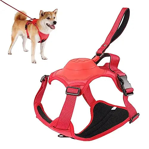 Dog Harness and Automatic Retractable Leash Kit –