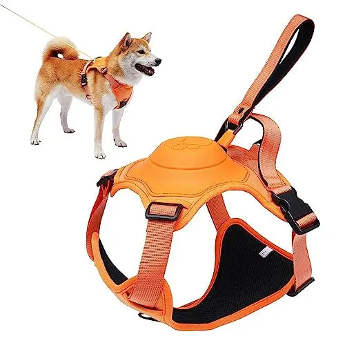 Dog Harness and Automatic Retractable Leash Kit –