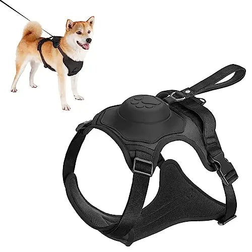 Dog Harness and Automatic Retractable Leash Kit –