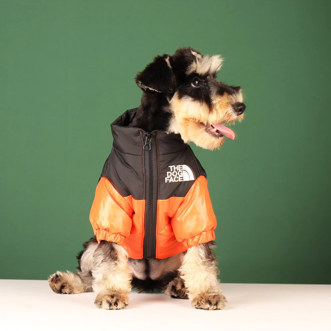 Windproof Dog Jacket The Dog Face –