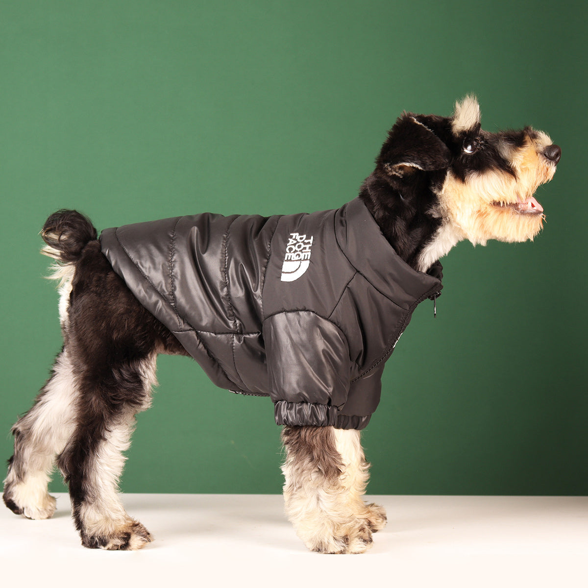 Windproof Dog Jacket The Dog Face –