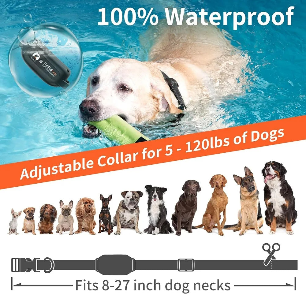 Dog Training Collar –