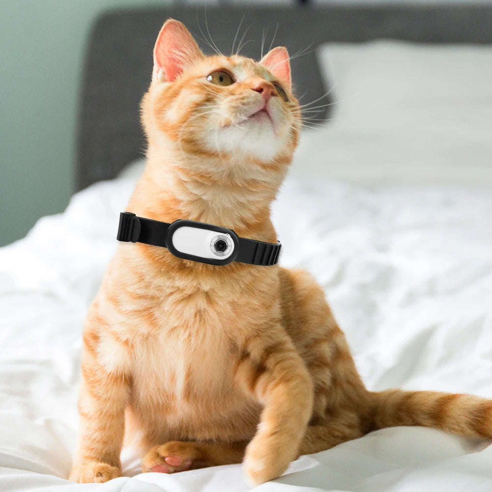 Camera Collar for Cats & Dogs –