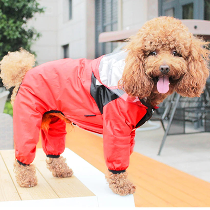 The Dog Face Raincoat for Dogs –