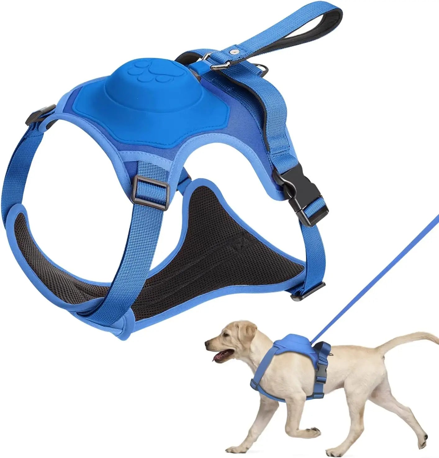 Dog Harness and Automatic Retractable Leash Kit –