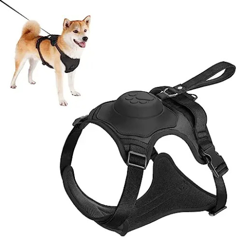 Dog Harness and Automatic Retractable Leash Kit –