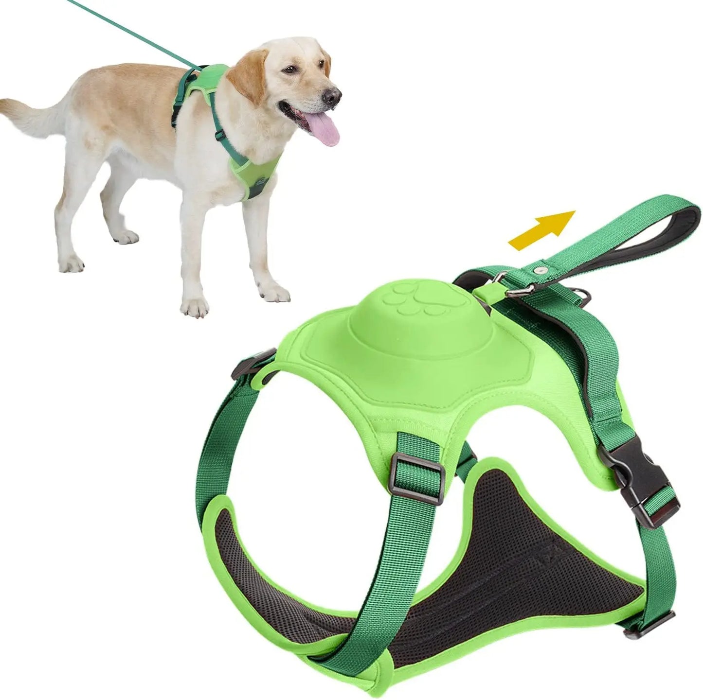 Dog Harness and Automatic Retractable Leash Kit –